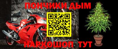 jwh Гатчина